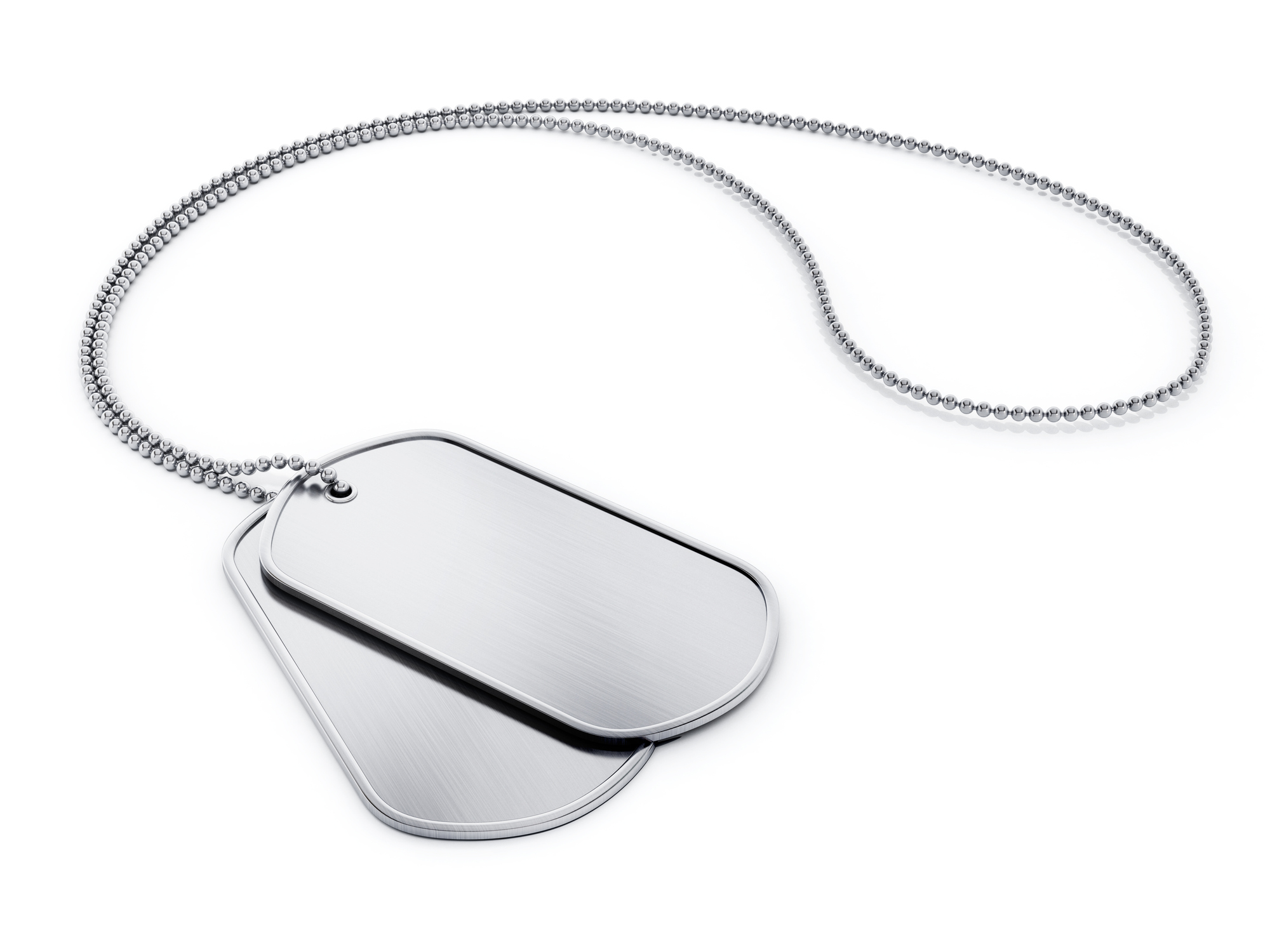 Blank silver military dog tags on a chain